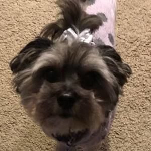 Meet your Posher, Jenn n caleb